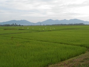 Núi Hồng Lĩnh nhìn từ Can Lộc