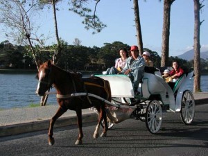 Nài ngựa chở khách du lịch ở Đà Lạt